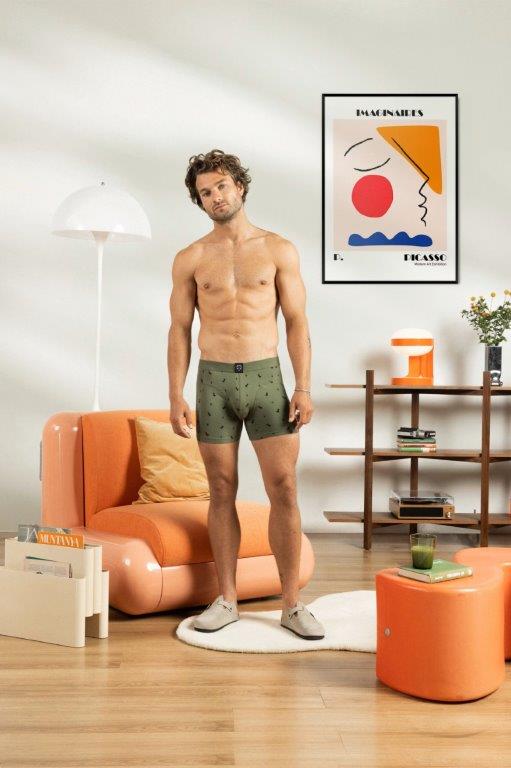 Boxer Brief 8-bit Dino - Olokuti