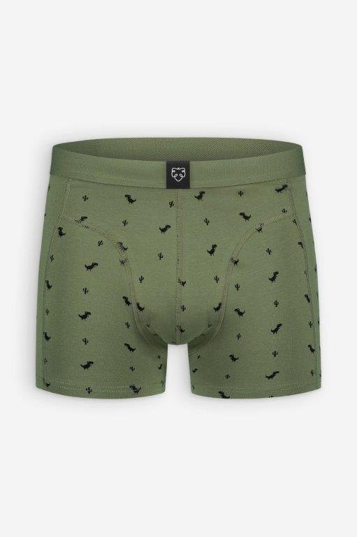 Boxer Brief 8-bit Dino - Olokuti