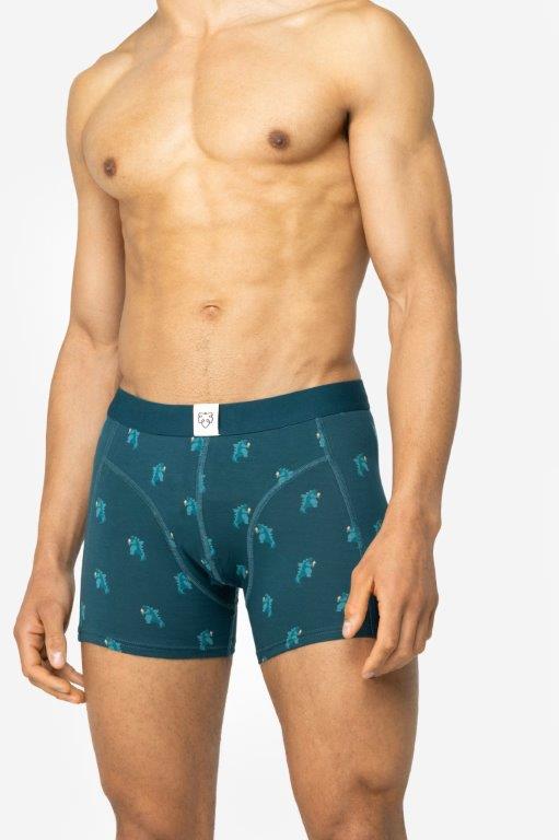 Boxer Brief Icezilla - Olokuti