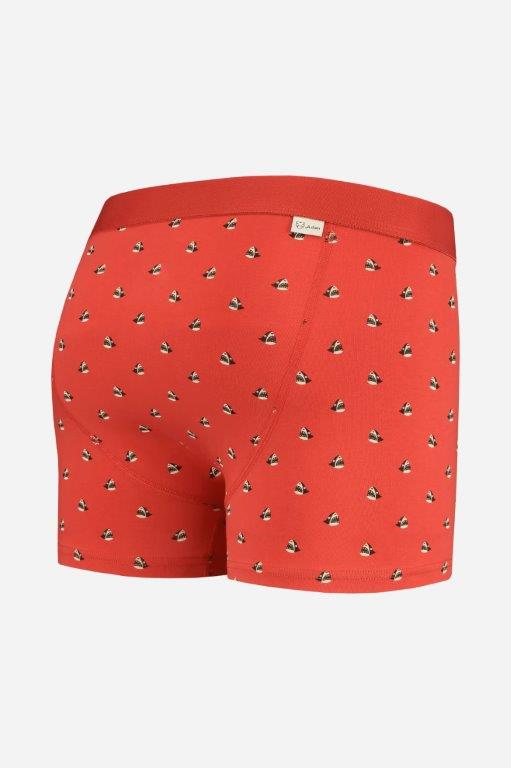 Boxer Brief Sharky - Olokuti