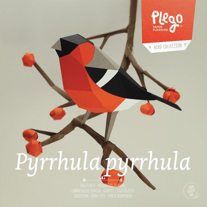 Figura de papel 3D - Camachuelo / Pyrrhula pyrrhula - Olokuti