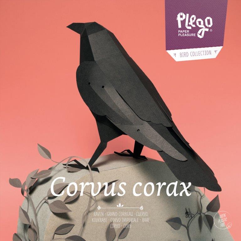 Figura de papel 3D - Cuervo / Corvus corax - Olokuti
