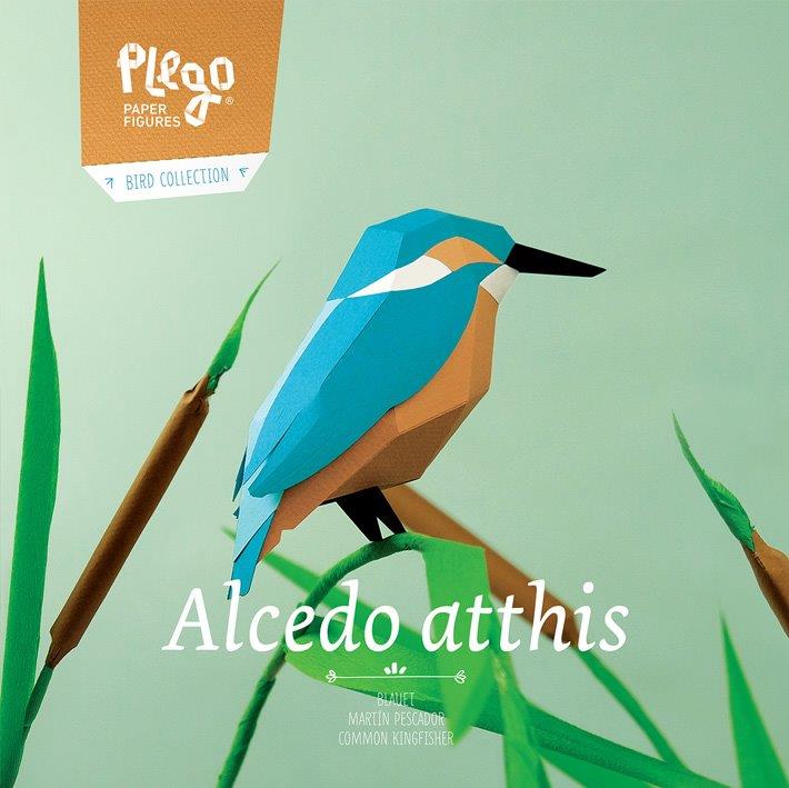 Figura de papel 3D - Martín Pescador / Alcedo atthis - Olokuti