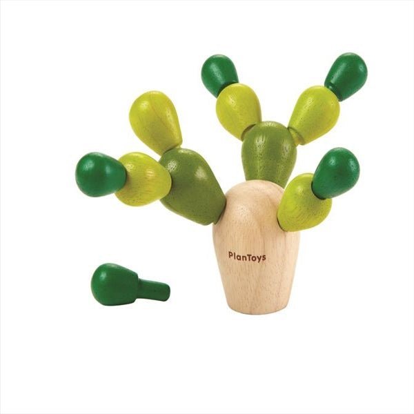 Mini Cactus Equilibrio - Olokuti