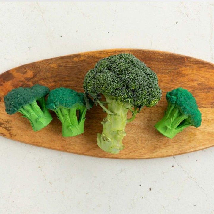 Mordedor de caucho Brucy the Broccoli - Olokuti