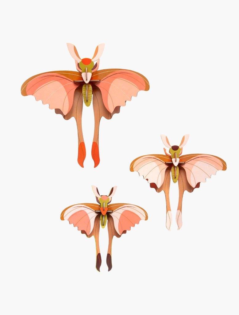 Set x3 Mariposas Cometa Grandes Insecto Arte Floral - Olokuti